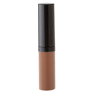 Pro Perfect Finish Concealer